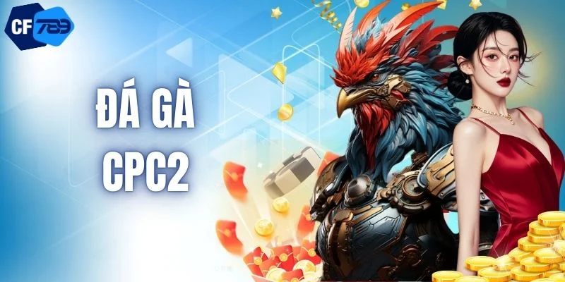 Trải Nghiệm Đá Gà CPC2 Trực Tuyến Chất Lượng Cao Tại CF789