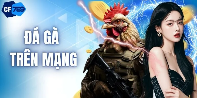 Đá Gà Trên Mạng - Tận Hưởng Các Trận Đấu Kịch Tính Tại CF789