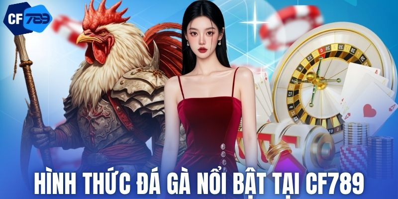 Hình thức đá gà nổi bật tại CF789