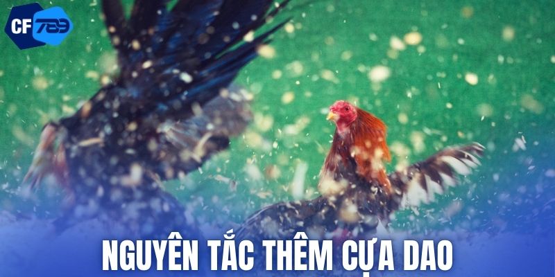 Nguyên tắc thêm cựa dao